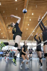 2015Volleyball BC Provincial Championships